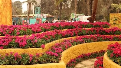 أبوستيت يكرم المشاركين في معرض زهور الربيع.. غدًا