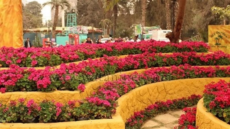 معرض زهور الربيع