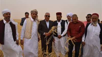 الاسماعيلية تواصل عملها في ١٠٠ مليون صحة طوال شهر رمضان