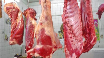 التموين: زيادة 50% في طرح اللحوم البلدية بالمجمعات الاستهلاكية