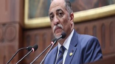 رئيس تضامن النواب: التمكين الاقتصادى للمرأة يتم بإحياء الحرف اليدوية