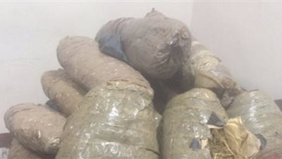 مباحث الدقهلية تضبط نورا ونجلها وبحوزتهما 2كيلو بانجو و100لفافة صغيرة