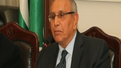 رئيس حزب الوفد: العفو الرئاسي منصوص عليه في الدستور والرئيس السيسي وجّه بدراسة المقتضيات والظروف