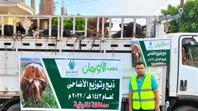 الأورمان تبدأ في ذبح ٣١٥ أضحية بالمنوفية