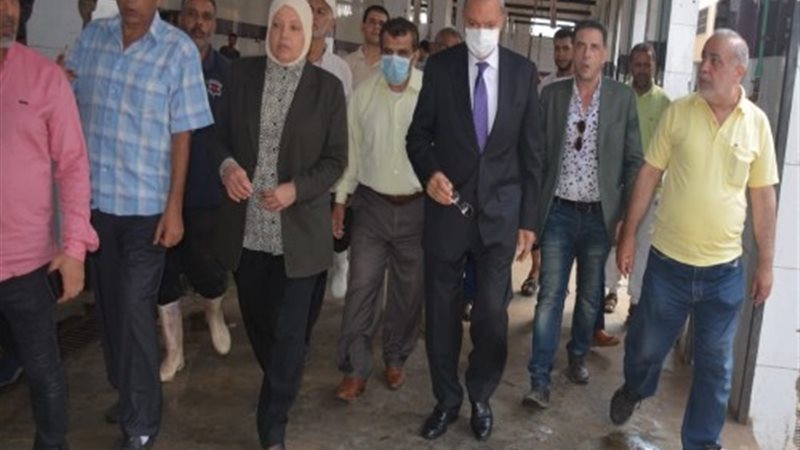 بوابة الجمهورية
