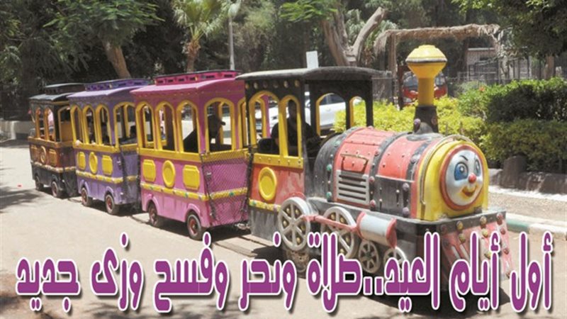 تصوير - حسام مصطفى