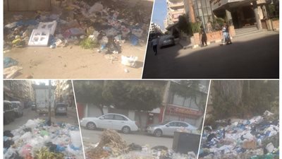 القمامة تغتال النخيل .. والملاك يستغيثون