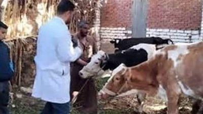 انطلاق الحملة القومية للتحصين ضد الحمى القلاعية.. بالفيوم
