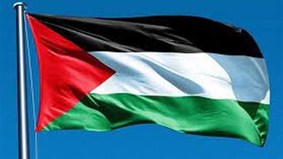 فرنسا و8 دول أوروبية تؤكد استمرار تعاونها مع منظمات المجتمع الفلسطينينة
