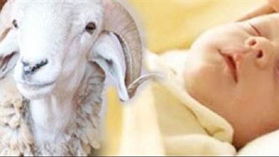 ما حكم وجوب العقيقة عن الجنين الذي سقط ميتًا