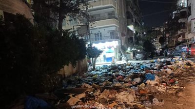 القمامة كارثة بيئية تهدد النخيل بالعجمى
