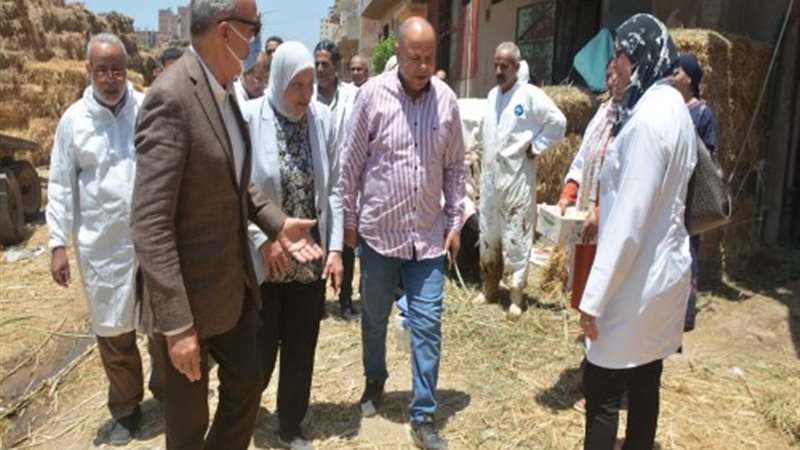 بوابة الجمهورية