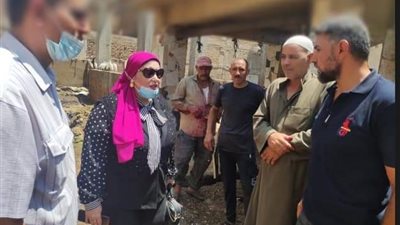صحة المنوفية: بدء أعمال المسح الميداني الشامل لحمى الوادي المتصدع