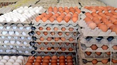 طرح كميات من البيض بسعر 58 جنيها للطبق الأبيض و60 للأحمر.. تعرف على أماكن البيع