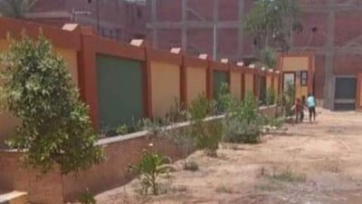 غرس 3000 شجرة مثمرة بشوارع قريتي بهبشين ودنديل ضمن مبادرة حياة كريمة بناصر