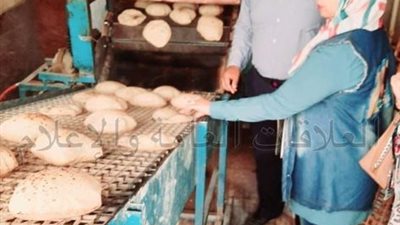 تحرير 91 محضرا متنوعا في حملة تموينية بالإسماعيلية