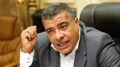 رئيس صناعة البرلمان: توجيهات الرئيس السيسي باعتماد المكون المحلي تحقق نقلة بالصناعة المصرية