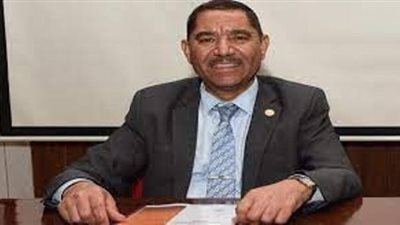 رئيس القومية للاستشعار عن بعد: دقيقة واحدة من الطاقة الشمسية تكفي العالم لمدة عام