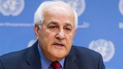 مندوب فلسطين يشكر مصر على جهودها فى وقف إطلاق النار بقطاع غزة