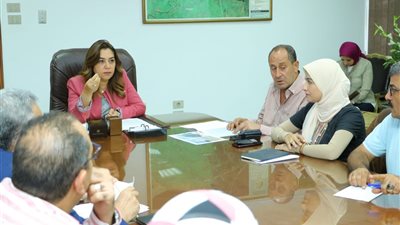 محافظ دمياط تتابع مع وفد الأمم المتحدة للمستوطنات البشرية مشروع معالجة صرف صحى طبل