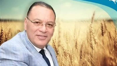 إستمرار توريد الذهب الأصفر لصوامع وشون محافظة الشرقية