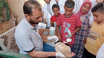 قافلة شاملة بقرية المحارزة بمركز ابو تشت