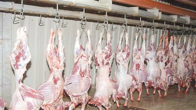 تخفيض أسعار اللحوم البرازيلي المجمدة لـ 72 جنيهاً للكيلو بالمجمعات الاستهلاكية