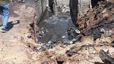 إزالة تعديات على حرم المصارف والترع بمدينة وقرى سنورس .. بالفيوم