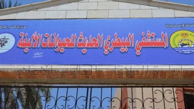 عيادات وغرف عمليات بأول مستشفى بيطري للحيوانات الأليفة في الإسماعيلية ..صور