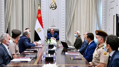 الرئيس السيسي يوجه باستكمال أركان الدورة التنموية الخاصة ببحيرة المنزلة