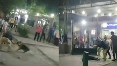 تفاصيل فيديو التعدي على طبيب بـ«كلب شرس» داخل مستشفى في حلوان