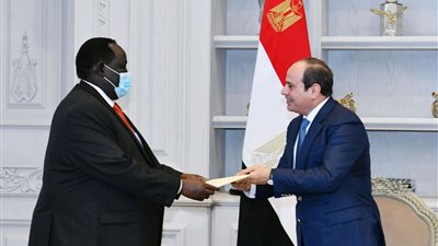 وكيل دفاع الشيوخ مصر وجنوب السودان حريصون على ترسيخ دعائم الأمن