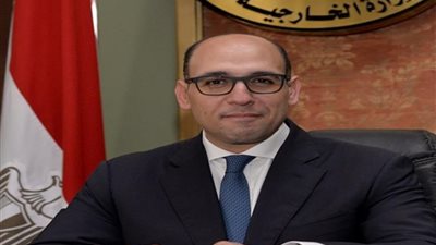 مصر تدعو الأطراف والقوى الوطنية الليبية إلى وقف التصعيد وتغليب لغة الحوار