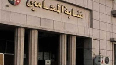 «المحامين»: استبعاد سامح عاشور ومنتصر الزيات من انتخابات النقابة «نهائي»