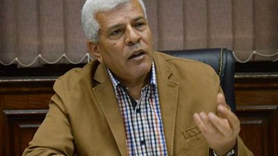 نقيب الزراعيين: 1000 جنيه لأردب القمح يحقق عائد مجزي للفلاح.. فيديو