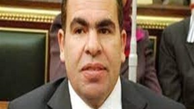 ياسر الهضيبي يطالب بحملة إعلامية لتحسين التعامل مع السائحين