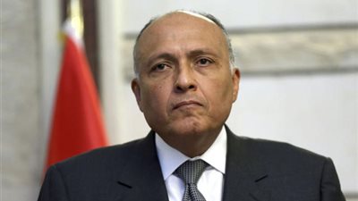 شكري يستعرض رؤية الرئاسة المصرية لمؤتمر COP27 لتعزيز عمل المناخ