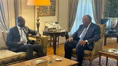 وزير الخارجية: التصحر أحد التداعيات الأكثر شدة لتغير المناخ