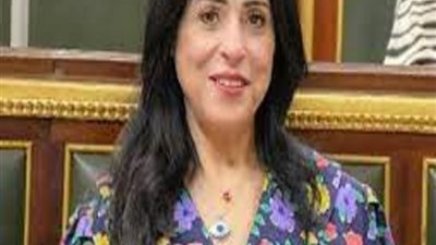 الهريدي: تسيير جسر بري من مساعدات إنسانية وطبية للأشقاء في السودان