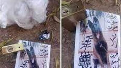 بتلك الطريقة يتوب من استعان بأهل السحر