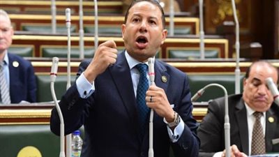 برلماني: الرئيس حريص على دفع الاقتصاد الوطني نحو مسار آمن ومتوازن