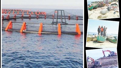 بعد سنوات من الإهمال.. تحقق الحلم وعادت الحياة إلي بحيراتنا المائية