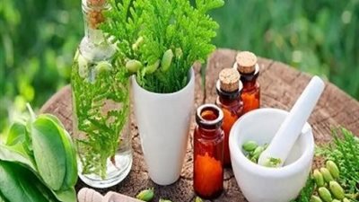 6 أعشاب لتنشيط الذاكرة وعلاج النسيان