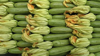 تعرف على أهم وأبرز فوائد الكوسا الصحية