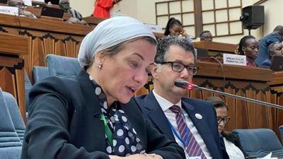 ياسمين فؤاد . مؤتمر المناخ يؤكد الاحتياجات الاساسية في قلب قضيةالمناخ