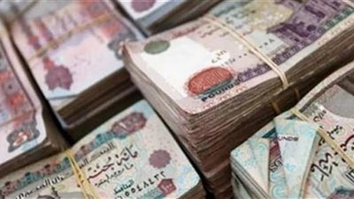 «المالية»: الأربعاء.. بدء صرف مرتبات العاملين بالدولة