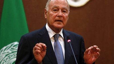 أبو الغيط يؤكد أهمية مواصلة العمل لتأمين صلابة البيت العربي