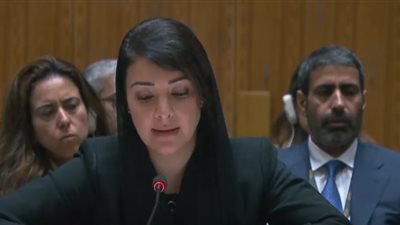 ريم الهاشمي: الإمارات تدعو إلى حل سلمي للأزمة الأوكرانية
