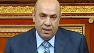برلماني: قانون المحليات سيتصدر اجندة البرلمان خلال الانعقاد الثالث