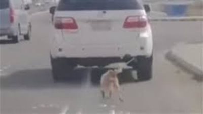 مربوط من عنقه في توك توك ..الأمن يكشف تفاصيل سحل كلب وقتله في المعادى